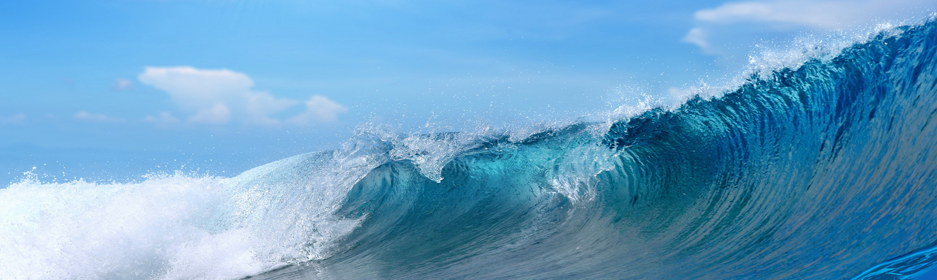 Öйú×ðÁú¼¯ÍÅ