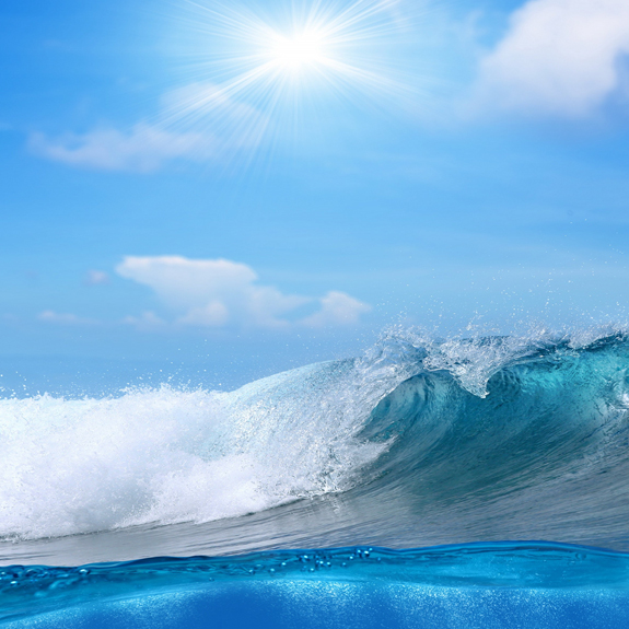 Öйú×ðÁú¼¯ÍÅ