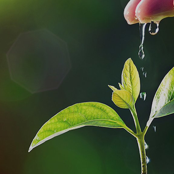 �й���������