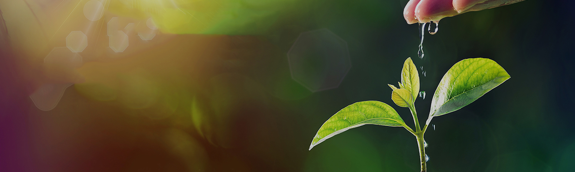 �й���������